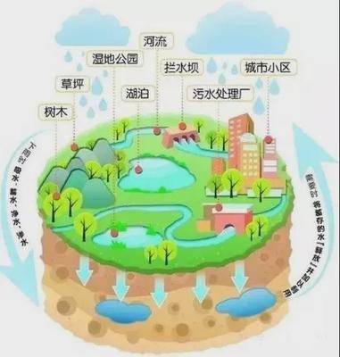 四川唯一，瀘州市再添一張城市“新名片” 海綿城市如何重塑自然生態(tài)系統(tǒng)保護(hù)管理？